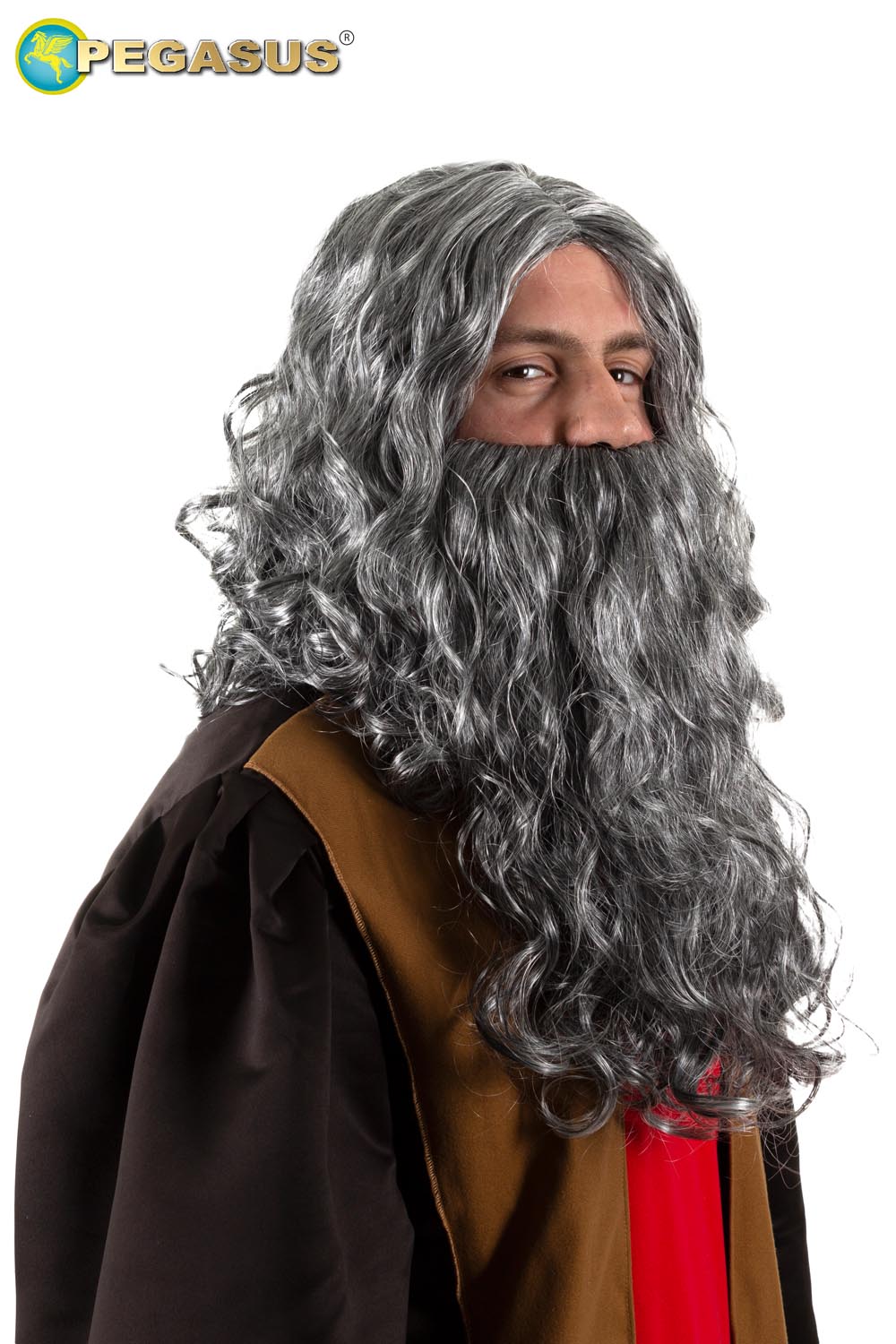 PARRUCCA + BARBA LEONARDO DA VINCI